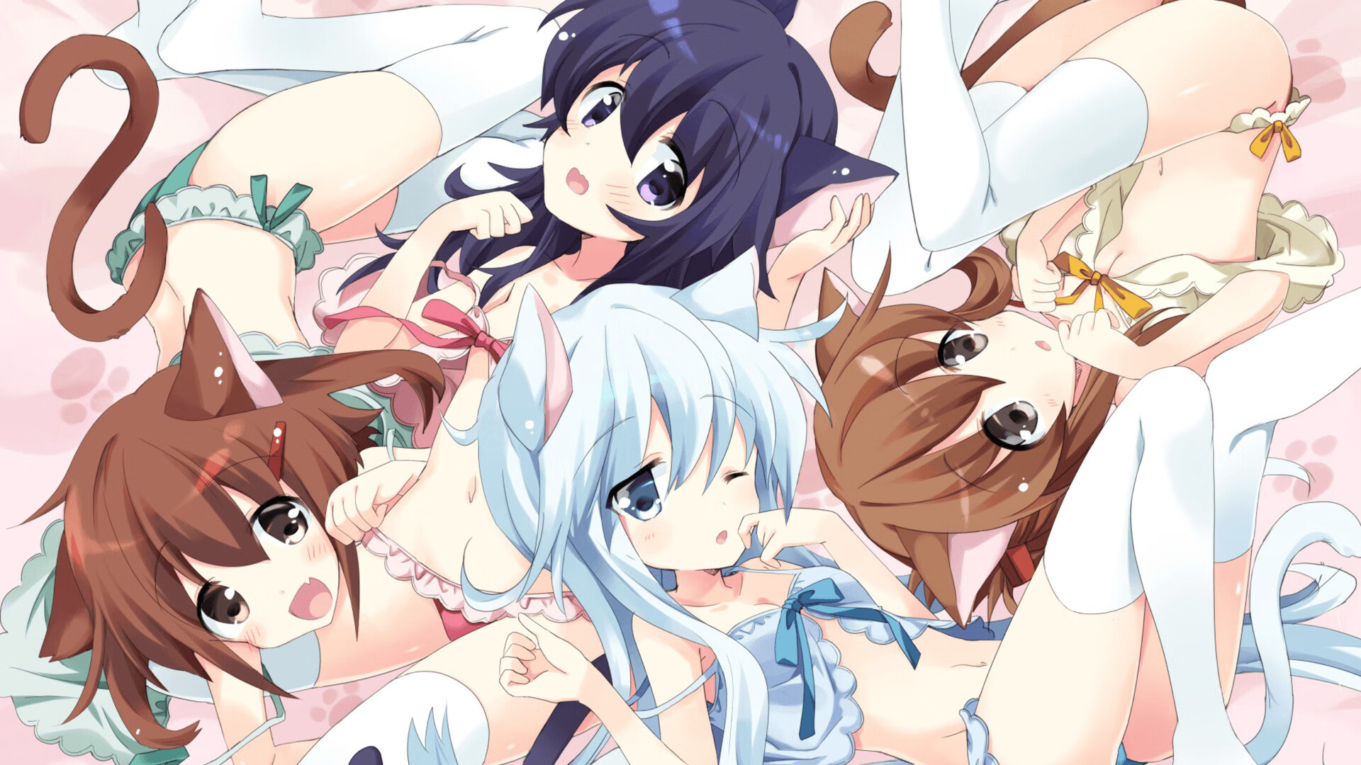 开云官方网站-德甲精彩不断，球迷期待未来，德甲 2022