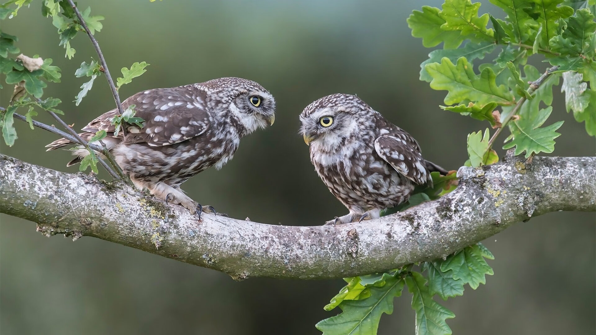 赛后爆料:那些不为人知的幕后故事,赛后爆料_那些不为人知的幕后故事