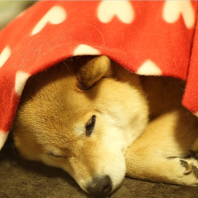 LPL新版本英雄调整备受关注,lpl改版