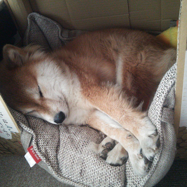 开云官方网站-乌拉圭队在世界杯预选赛中取得关键胜利，出线希望大增，乌拉圭什么时候世界杯夺冠