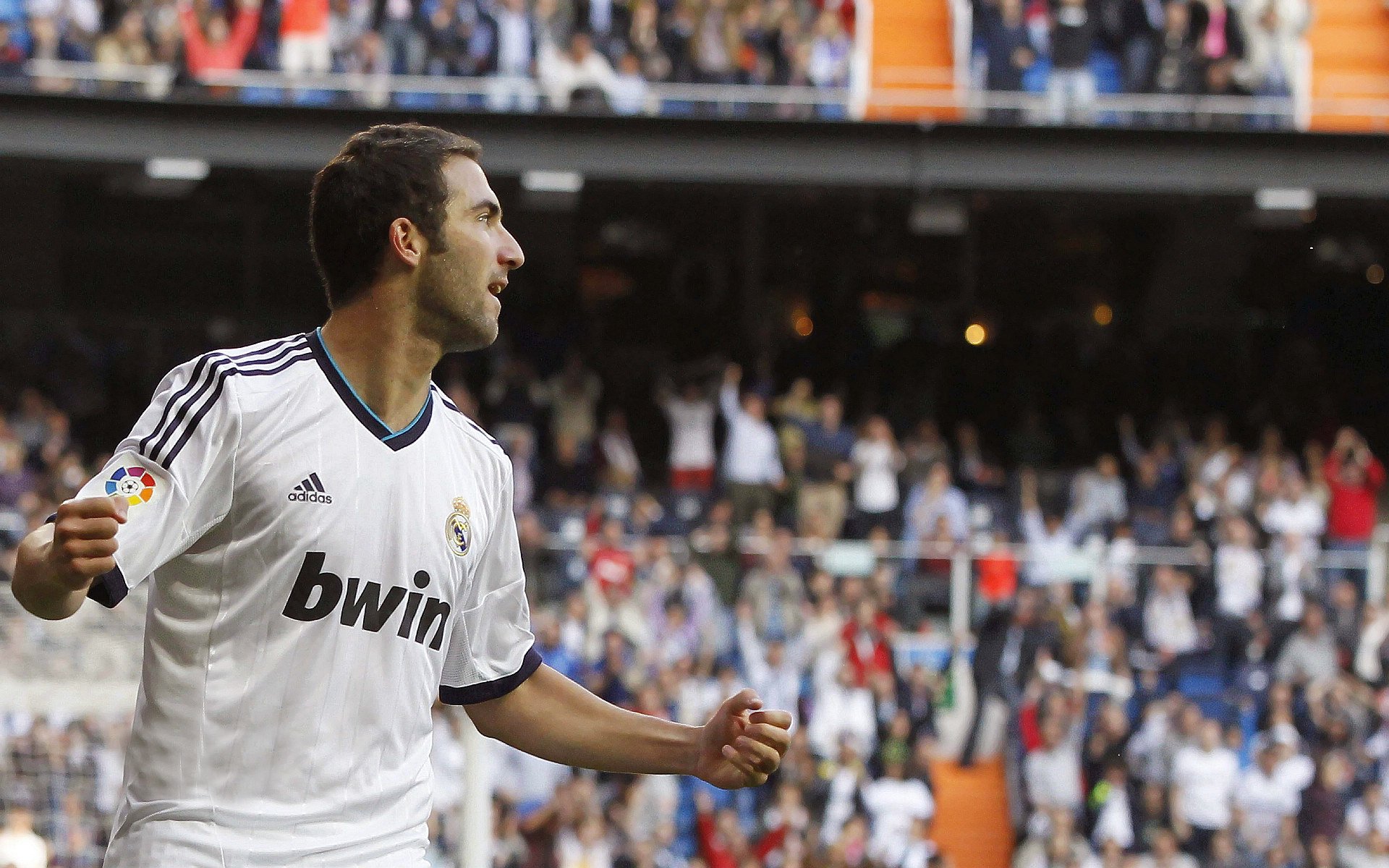 保利斯塔（Paulista），保利斯塔大学