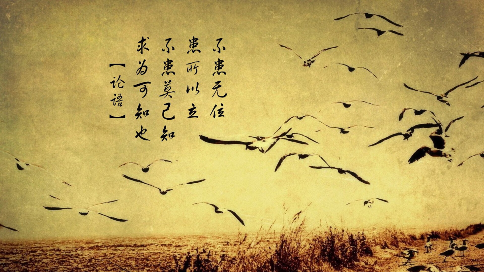 KAIYUN 中国大陆-川崎前锋主场气氛火热，川崎前锋视频