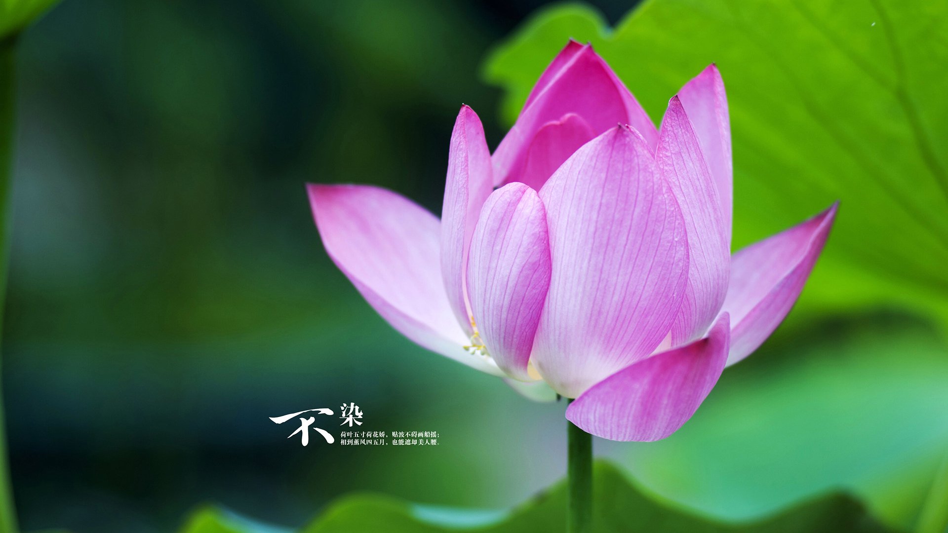 kaiyun中国官方网站-广州队员表现抢眼，力争实现逆转！，广州队现状