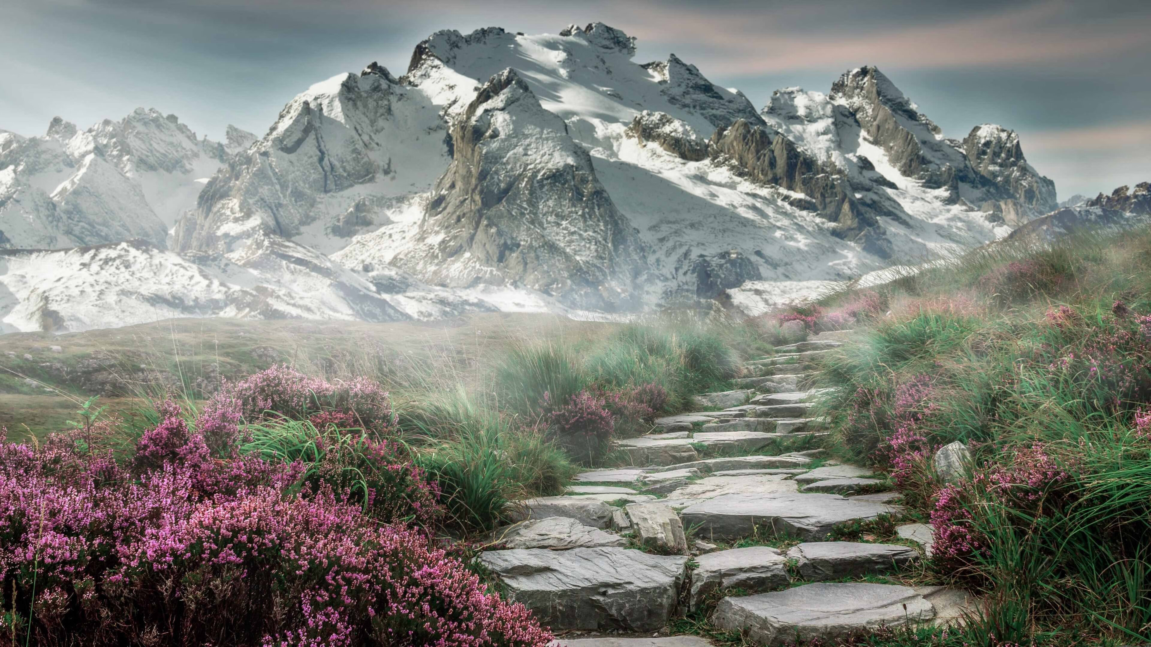 广州队员表现抢眼,力争实现逆转!,广州队现状