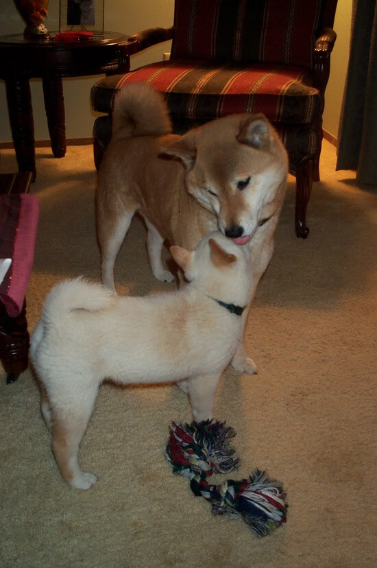 Kaiyun官方登录入口-快船宣布交易威少，新援首秀砍下17分，快船交易走了谁