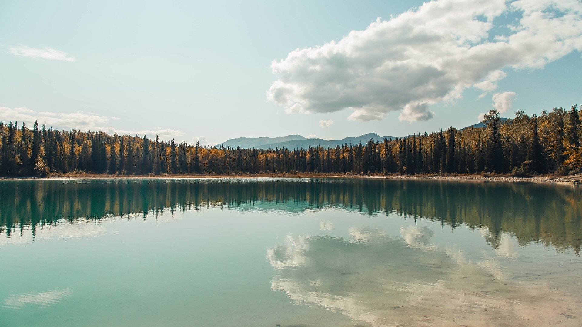 数据排名是否决定市场价值,数据排名是否决定市场价值指标