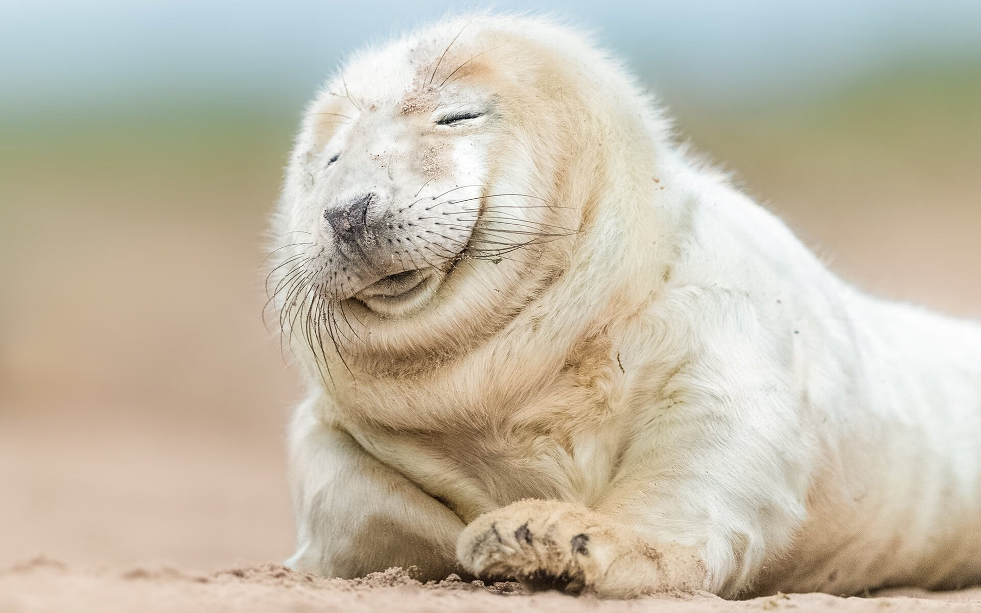 欧洲足球冠军联赛决胜局前奏,惊心动魄战局引燃赛场,2020-2021赛季欧洲足球冠军联赛的冠军是_