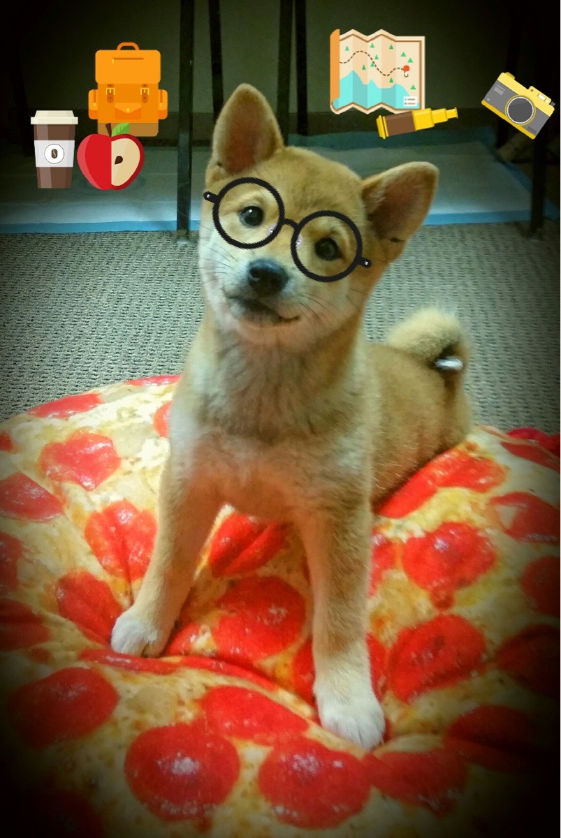 泰国球队势必奋力一搏,争取胜利之门,泰国足球队被困前因后果