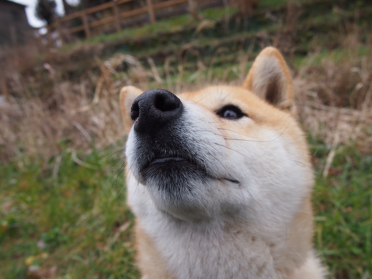 开云中国大陆-生力啤酒人赛季目标明确，生力啤酒有人喝吗