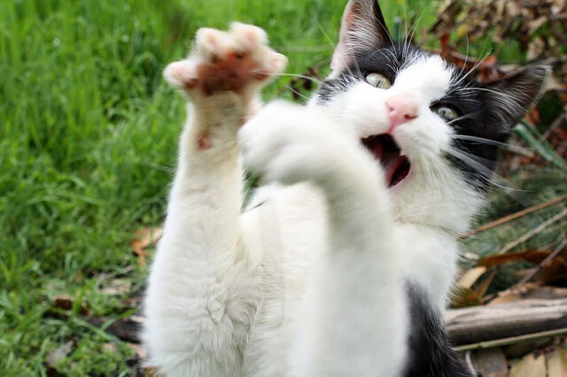 足球亚洲杯分组抽签结果出炉,亚洲杯抽签分档