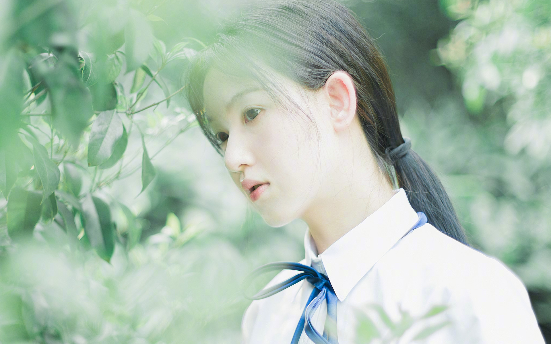 NBA球员赛季伤病管理方案,nba本赛季伤病