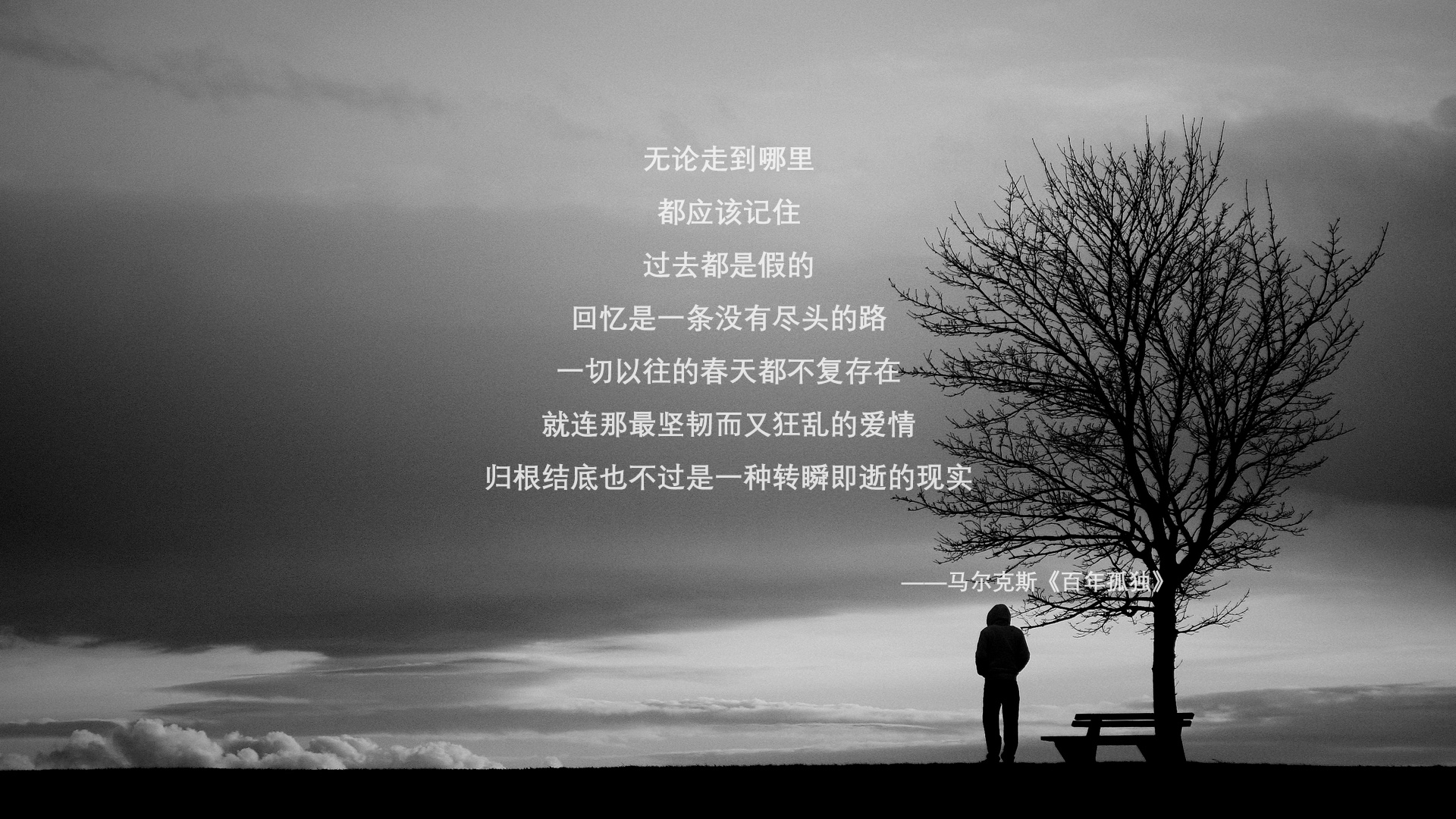 中国篮球青少年篮球体能发展规律研究,中国篮球青少年篮球体能发展规律研究报告