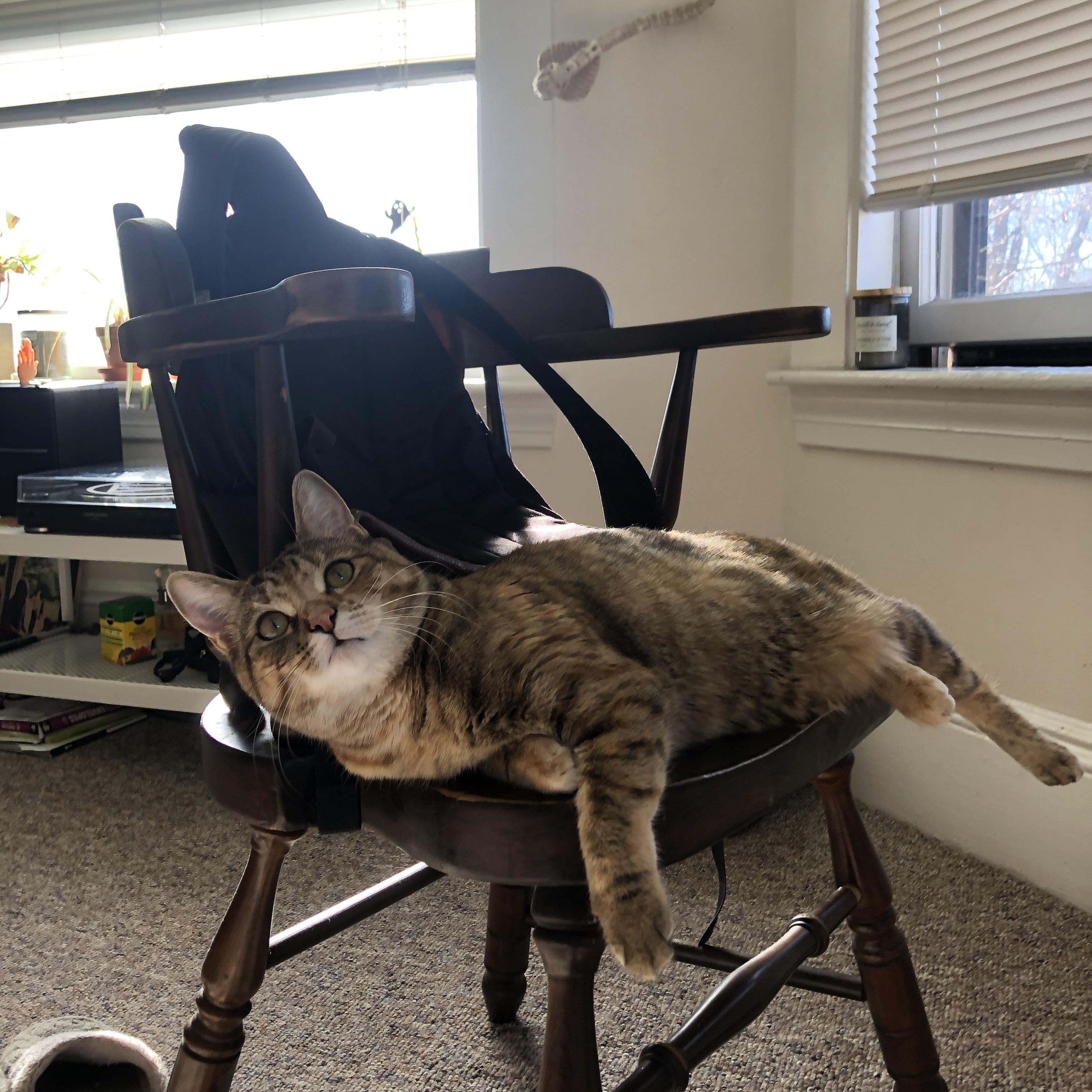 中国篮球联赛战术执行力提升策略分析，篮球战术理念