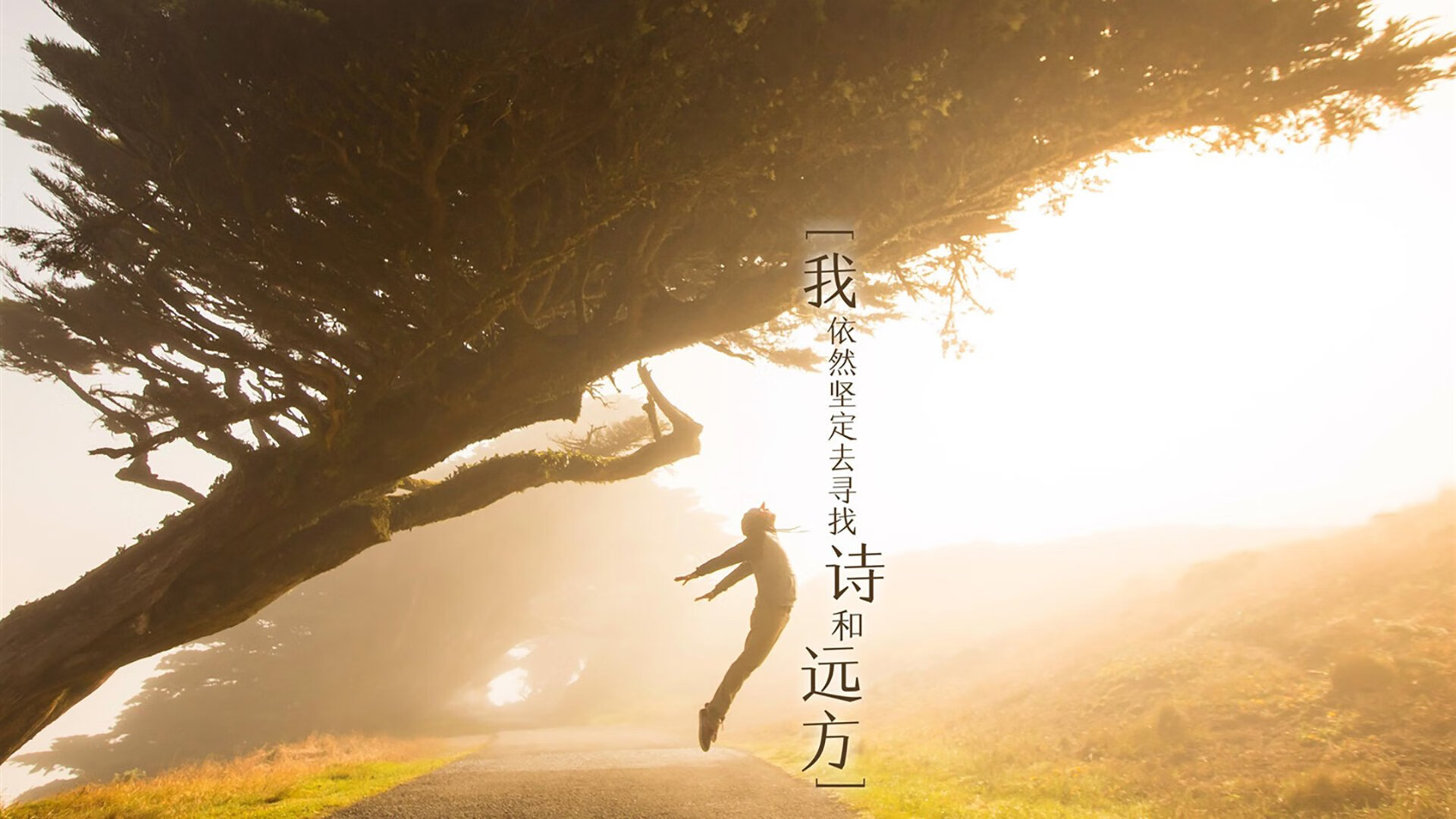 英超球队基于运动生理数据优化恢复周期策略,英超球员体能