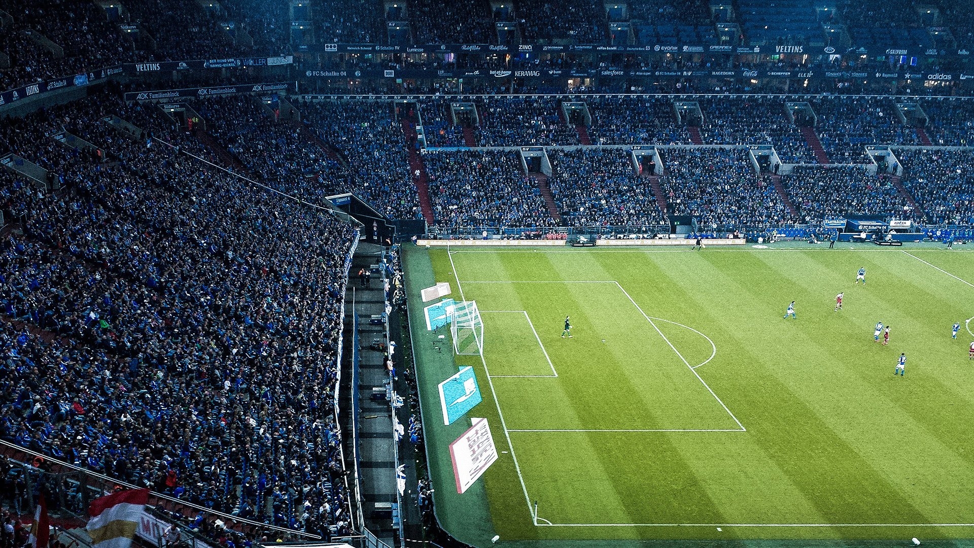 训练计划动态调整,训练计划的制定与实施步骤