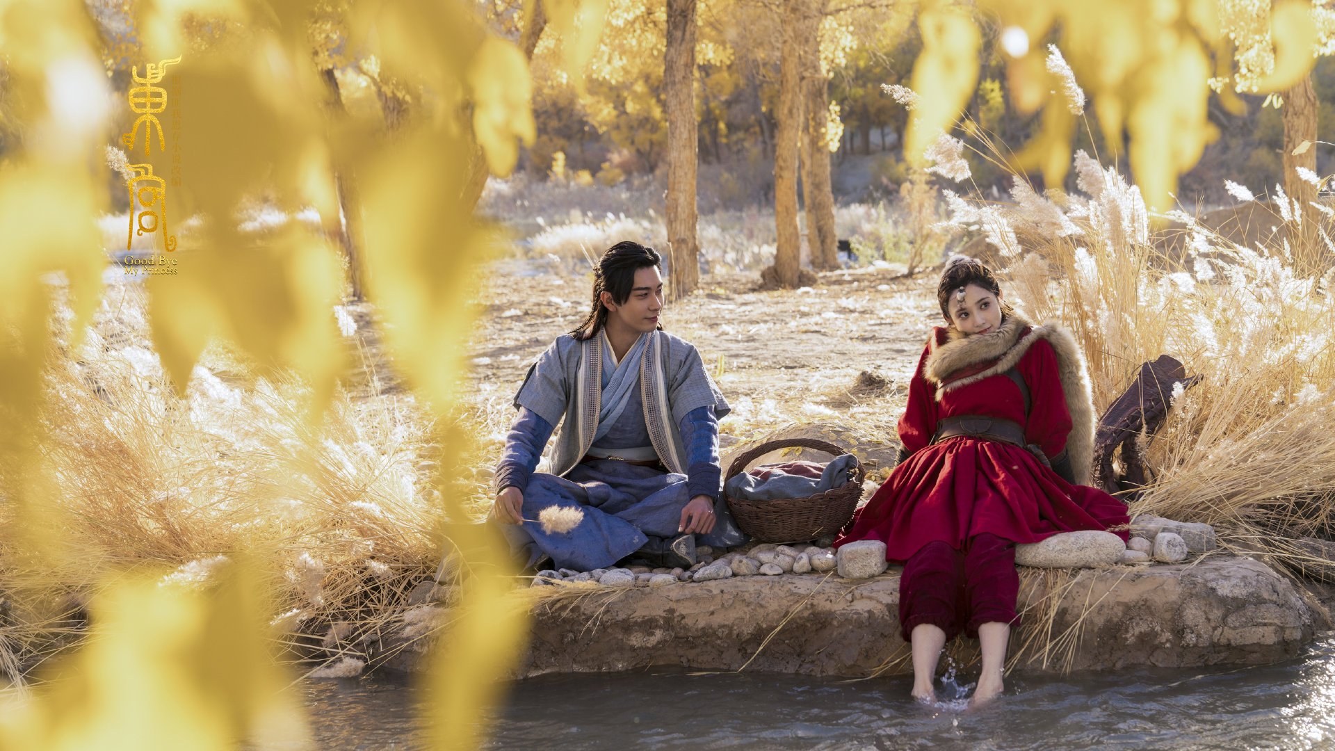 训练计划动态调整,训练计划的制定与实施步骤