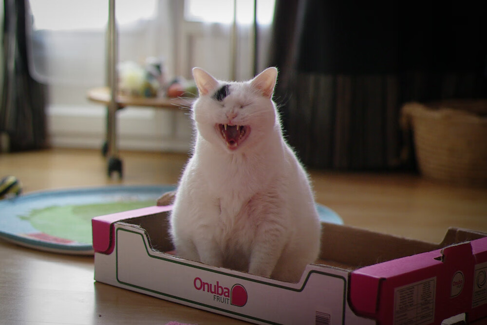 青少年体育运动参与社会环境影响研究，青少年参加体育运动有哪些作用