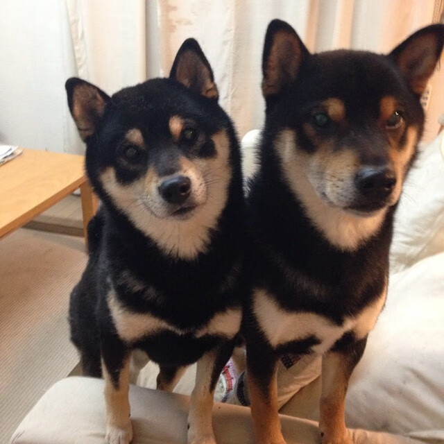 CBA球队推动体能恢复系统全面升级,cba体能训练师年薪