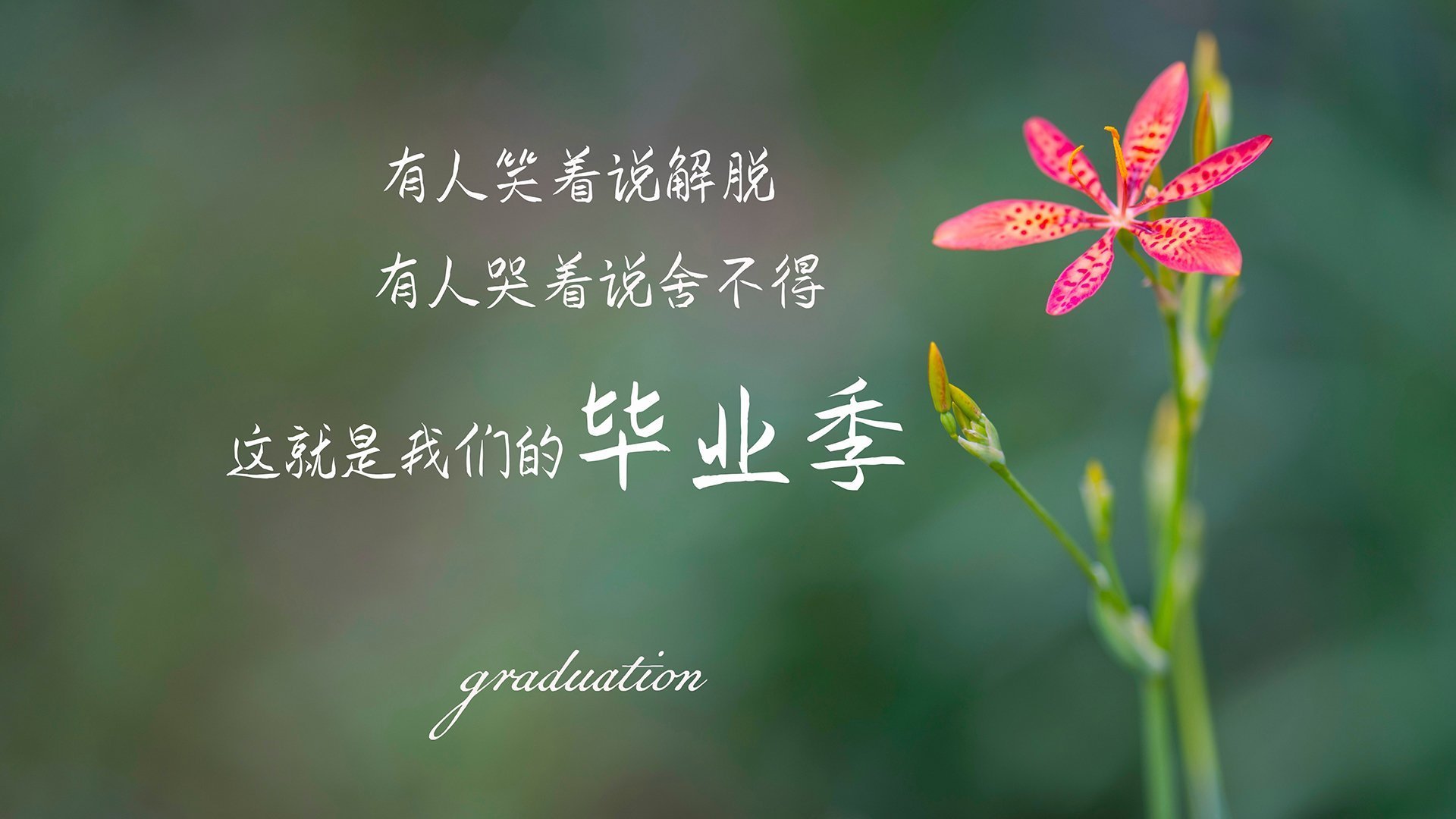 体育明星参与数字火炬传递活动掀起讨论热潮