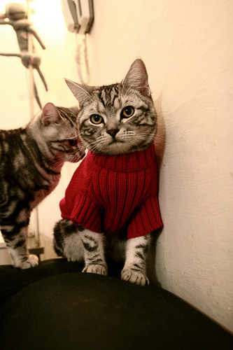 国际热身赛国家队爆冷 技术分析成为讨论焦点,国际足球热身赛