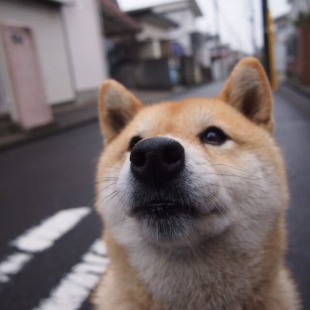 美方划频提升更剧烈,中方更线性稳定,中方欲发言时美方赶走媒体