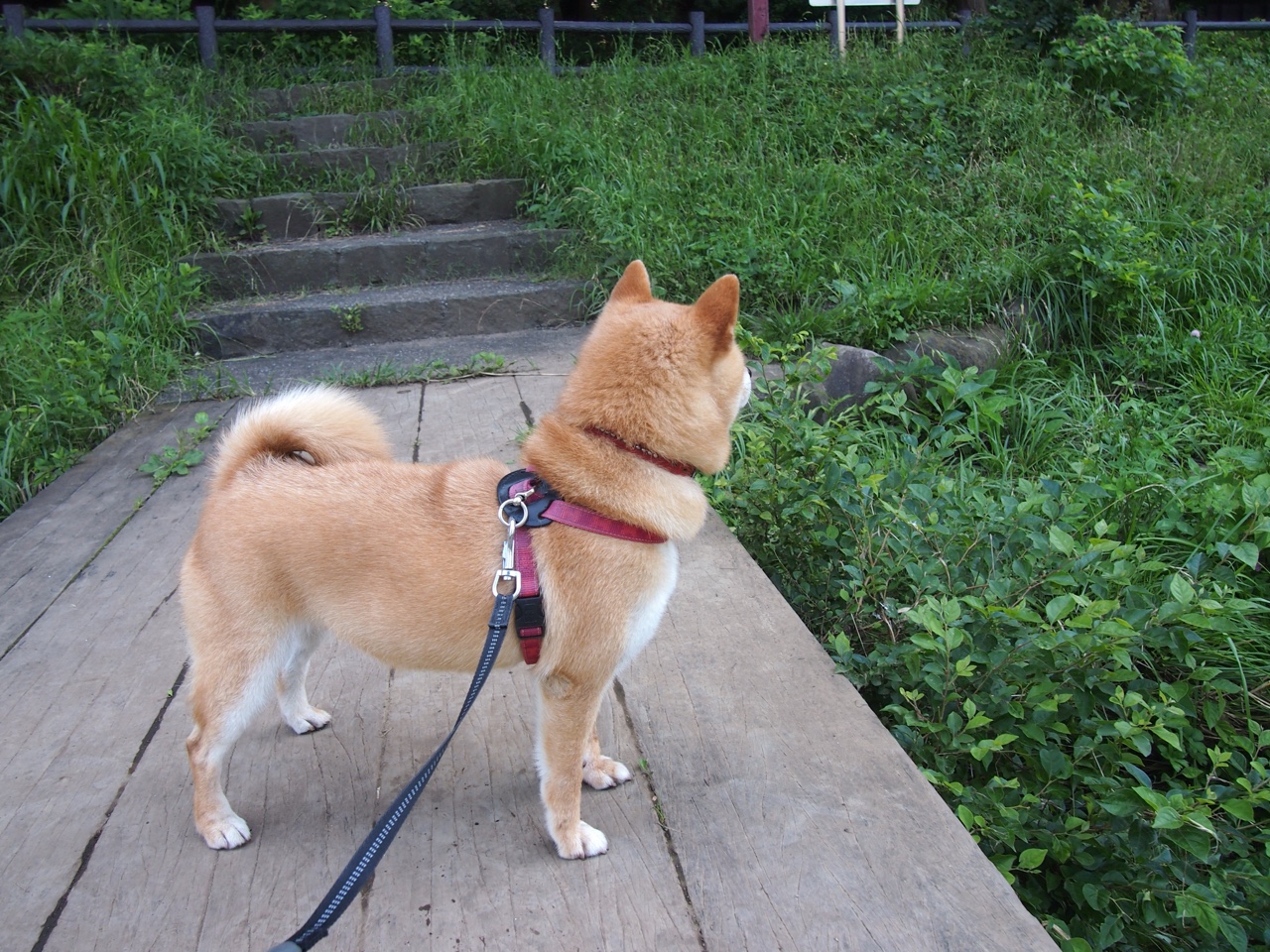 kaiyun官方网站-霍芬海姆反击效率提升赢得关键战役，霍芬海姆 50+1