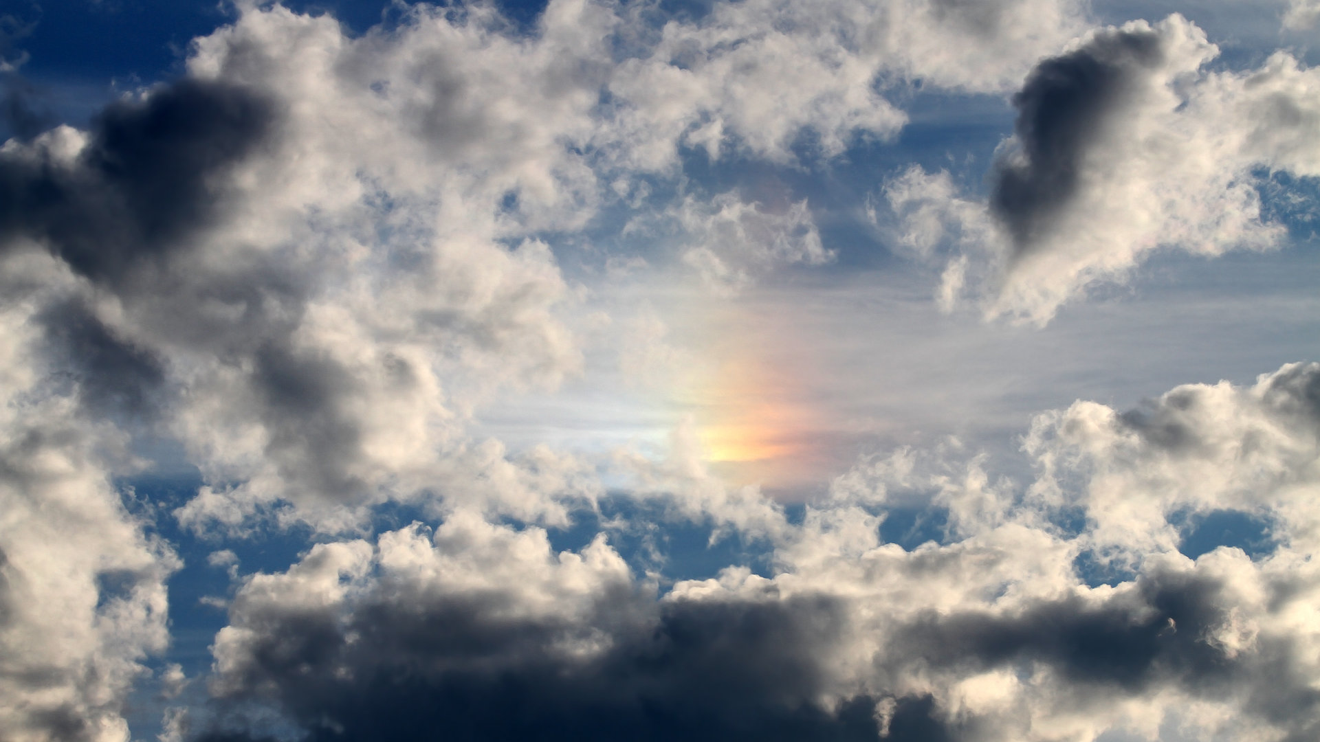 开云官方网页登录-“华金·托比利亚的攻守兼备，成为美洲狮队不可忽视的存在”