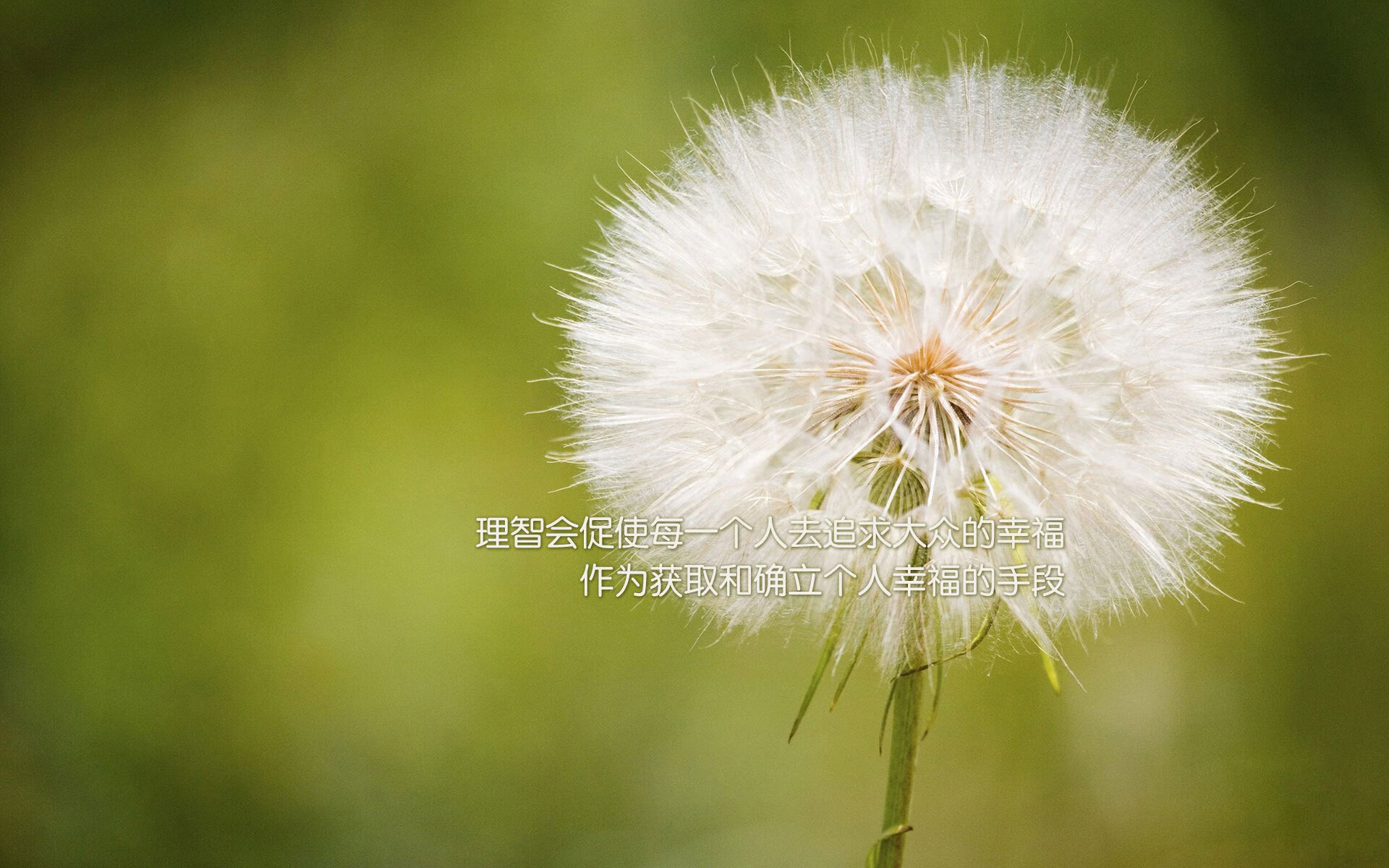 意甲豪门大换血,新援表现引关注,意甲豪门有哪些