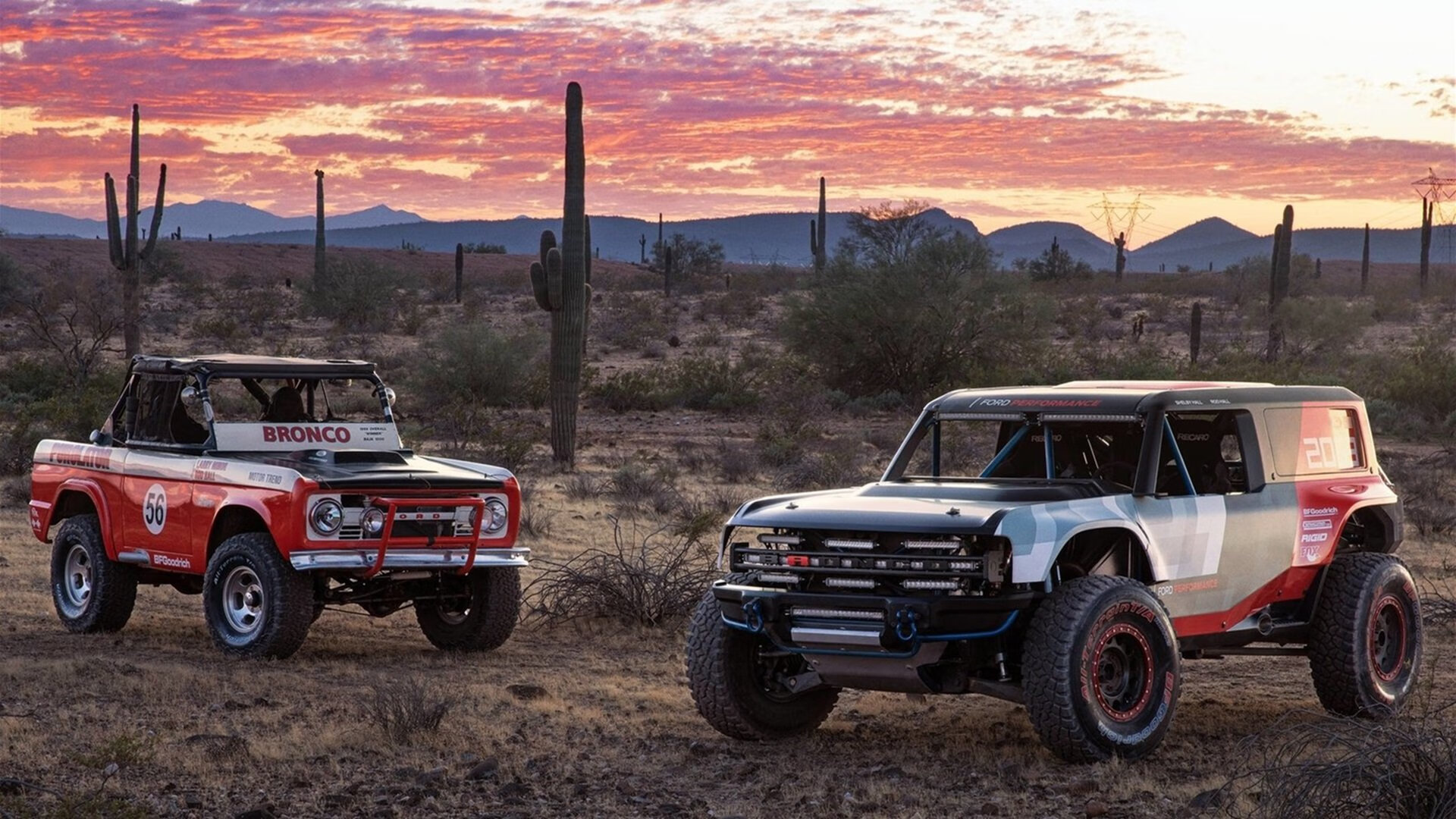 新西兰橄榄球的青少年赛事逐步成熟,吸引更多年轻球员,新西兰超级橄榄球联赛