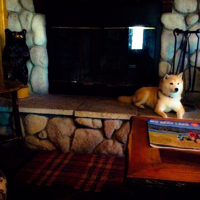 美洲杯疯狂比赛：逆境中勇敢拼搏和明星崛起，美洲杯2021全部比赛视频