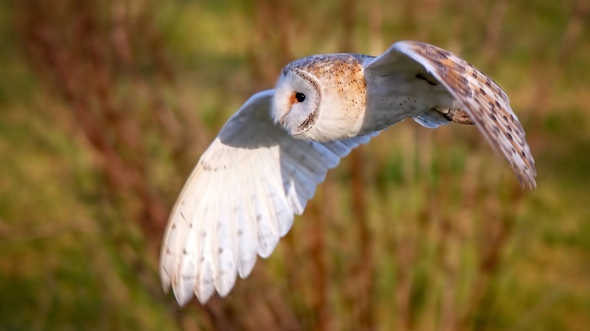 开云体育-青训中心设置战术视频复盘角培养自主学习能力，训练营复盘